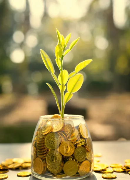 Prosperous Living